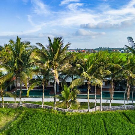 Green Flow Ubud Villa 20 エクステリア 写真